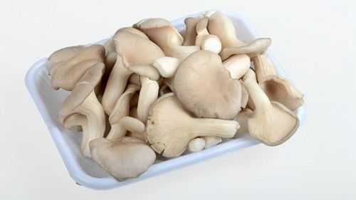 孕妇吃蘑菇对胎儿好吗(十大容易流产的蔬菜) 第1张 孕妇吃蘑菇对胎儿好吗(十大容易流产的蔬菜) 第1张