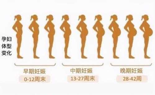 怀孕肚子小是不是胎儿就小(怀孕多久有肚子明显出来) 第1张 怀孕肚子小是不是胎儿就小(怀孕多久有肚子明显出来) 第1张