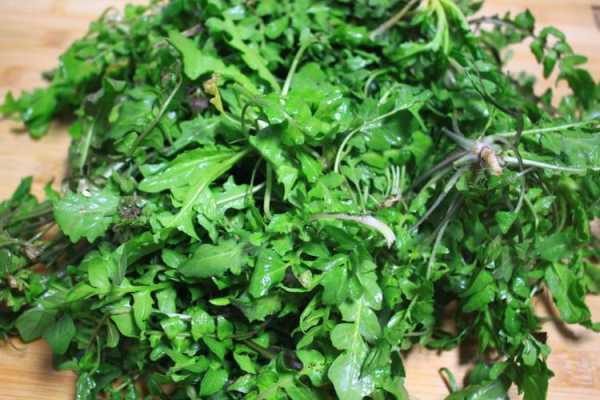 怀孕的女性孕期可以吃荠荠菜包饺子吗,孕期可以吃野菜吗? 第1张 怀孕的女性孕期可以吃荠荠菜包饺子吗,孕期可以吃野菜吗? 第1张