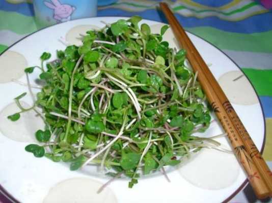 孕妇吃萝卜苗对胎儿好吗,白萝卜对孕妇的功效和作用 第2张 孕妇吃萝卜苗对胎儿好吗,白萝卜对孕妇的功效和作用 第2张