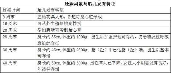 整个孕期是多少天(怀孕8周是多少天) 第2张 整个孕期是多少天(怀孕8周是多少天) 第2张