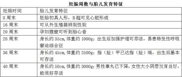 整个孕期是多少天（怀孕8周是多少天）  第2张