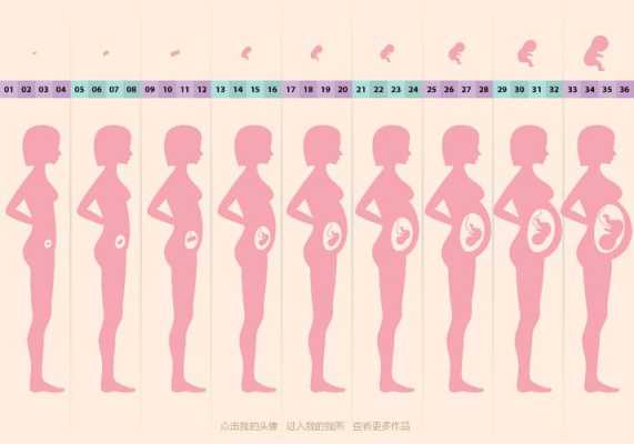 孕期图片全程（怀孕1～10月肚子变化图）  第1张