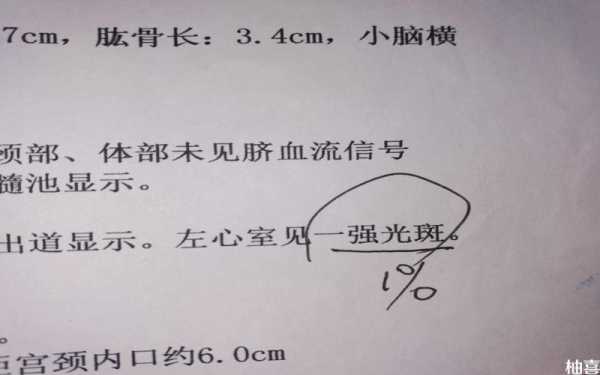 多少孕妇有胎儿强光斑（左心室强光斑最坏结果）  第1张