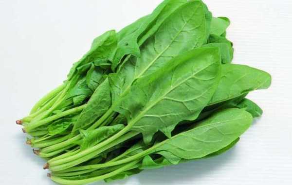 怀孕吃菠菜对胎儿好吗(怀孕吃菠菜对胎儿好吗有影响吗) 第2张 怀孕吃菠菜对胎儿好吗(怀孕吃菠菜对胎儿好吗有影响吗) 第2张
