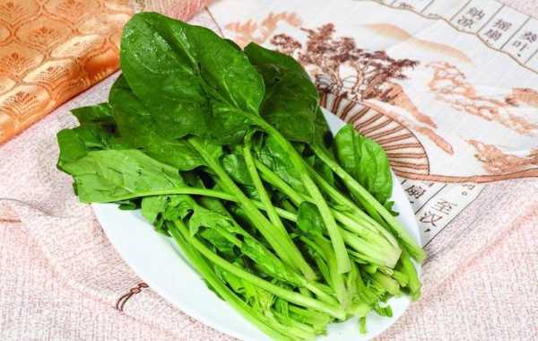 怀孕吃菠菜对胎儿好吗(怀孕吃菠菜对胎儿好吗有影响吗) 第3张 怀孕吃菠菜对胎儿好吗(怀孕吃菠菜对胎儿好吗有影响吗) 第3张