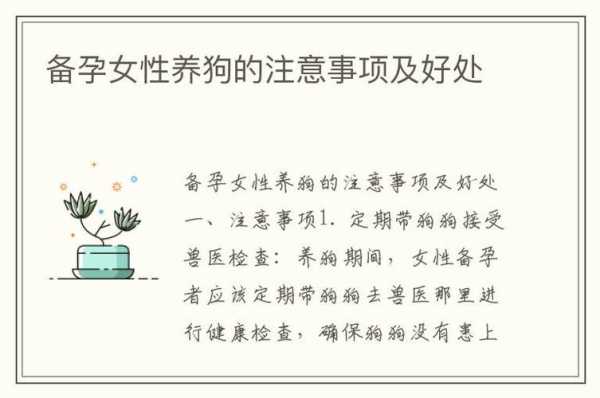 备孕期间能养狗吗(二胎家庭可以养狗吗) 第3张 备孕期间能养狗吗(二胎家庭可以养狗吗) 第3张