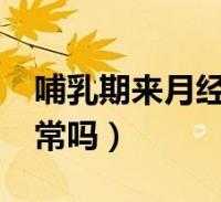 怀孕期间来月经正常吗(哺乳期会来例假吗) 第2张 怀孕期间来月经正常吗(哺乳期会来例假吗) 第2张