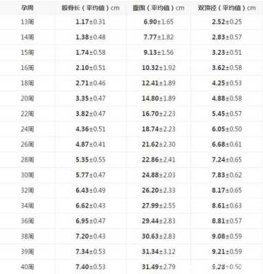 28周胎儿（28周胎儿体重多少斤正常）  第1张