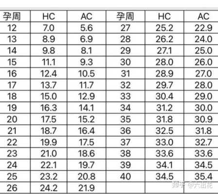 孕31周胎儿发育标准吗,31周胎儿体重正常范围是多少  第3张