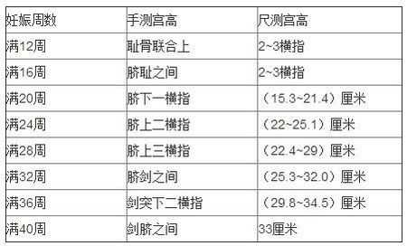 宫高的正常值是多少,孕妇宫高怎么量 第1张 宫高的正常值是多少,孕妇宫高怎么量 第1张
