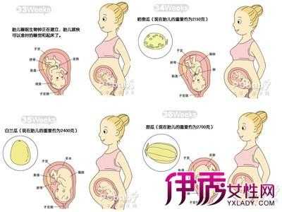 入盆程度怎么描述,胎儿入盆后多久会生  第2张