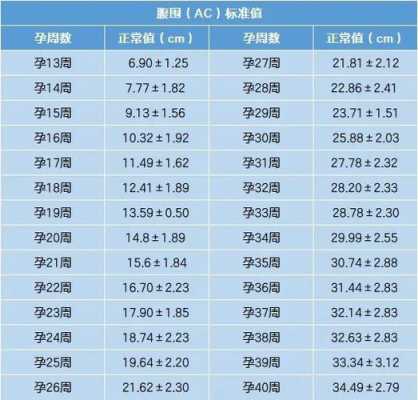 胎儿ac（ac是胎儿的什么意思）  第3张