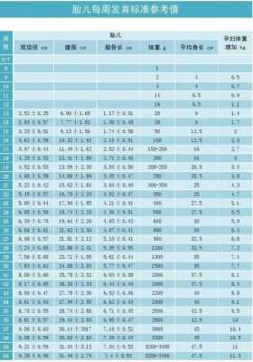 胎儿32周发育标准,32周胎儿体重几斤正常  第1张