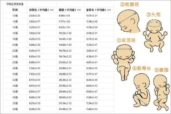 胎儿头小两周(胎儿双顶径偏大两周要紧嘛) 第1张 胎儿头小两周(胎儿双顶径偏大两周要紧嘛) 第1张