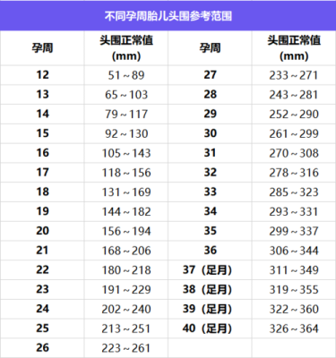 32周胎儿发育标准(32周胎儿发育标准数据) 第2张 32周胎儿发育标准(32周胎儿发育标准数据) 第2张