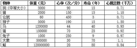 孕期心跳多少正常(孕期心跳多少正常范围) 第2张 孕期心跳多少正常(孕期心跳多少正常范围) 第2张