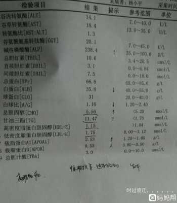 孕期血脂高(孕妇血脂高需要提前住院么) 第2张 孕期血脂高(孕妇血脂高需要提前住院么) 第2张