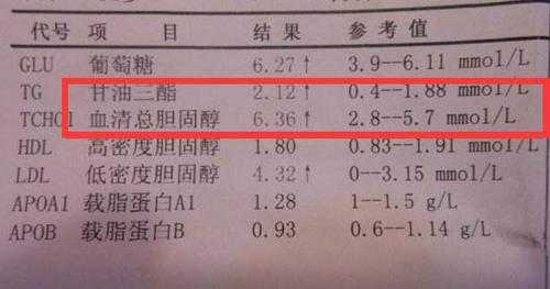 孕期血脂高（孕妇血脂高需要提前住院么）  第1张