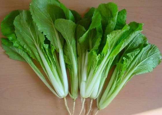 产妇能不能吃青菜,十大容易流产的蔬菜  第1张