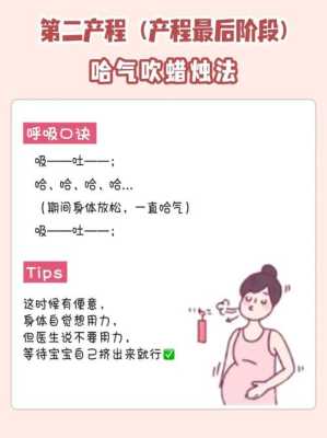 胎儿呼吸靠什么(胎儿呼吸靠什么) 第2张 胎儿呼吸靠什么(胎儿呼吸靠什么) 第2张