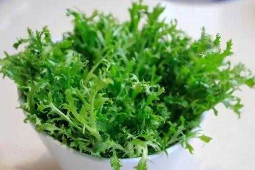 孕期可以吃苦菊吗(孕期可以吃苦菊吗?) 第3张 孕期可以吃苦菊吗(孕期可以吃苦菊吗?) 第3张