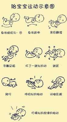 胎儿几周有胎动（胎儿几周有胎动）  第2张