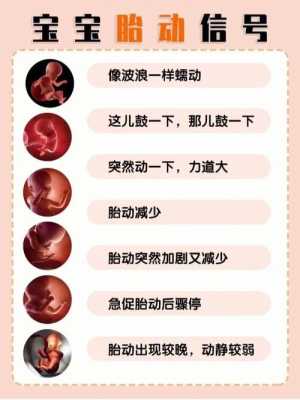 胎儿几周有胎动（胎儿几周有胎动）  第1张