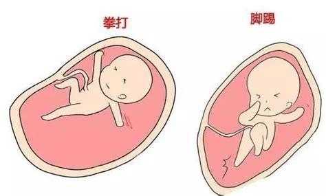 胎儿在肚脐周围动(胎儿在肚脐周围动) 第2张 胎儿在肚脐周围动(胎儿在肚脐周围动) 第2张