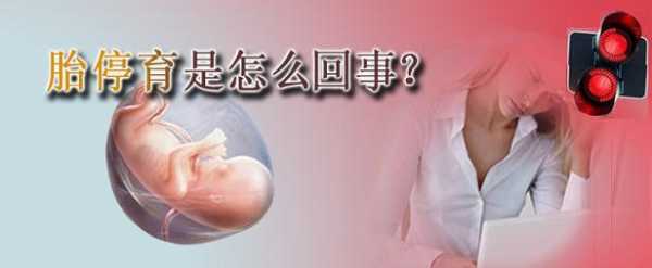 胎儿为什么会胎停(什么情况会导致胎停) 第2张 胎儿为什么会胎停(什么情况会导致胎停) 第2张