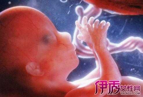 十六周胎儿有多大(怀孕三十六周胎儿有多大) 第2张 十六周胎儿有多大(怀孕三十六周胎儿有多大) 第2张