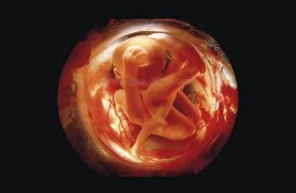 十六周胎儿有多大（怀孕三十六周胎儿有多大）  第1张