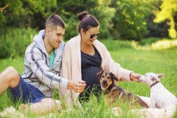 孕期可以养狗吗,孕期可以养狗狗吗? 第3张 孕期可以养狗吗,孕期可以养狗狗吗? 第3张