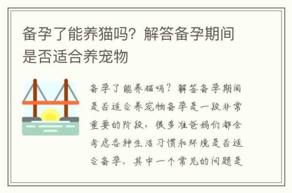 备孕期能养猫吗(养猫招孩子吗) 第1张 备孕期能养猫吗(养猫招孩子吗) 第1张