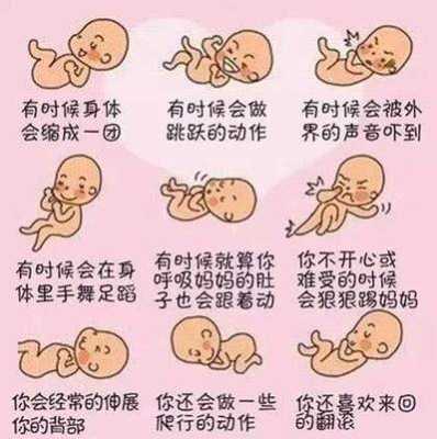 孕期几个月有胎动,胎儿多少周有胎动感觉  第1张