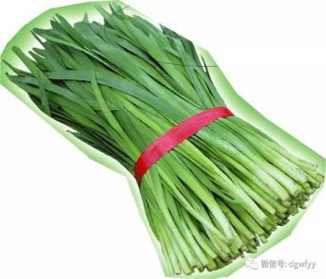 孕期可以吃韭黄吗(怀孕中期的孕妇能吃韭菜吗) 第2张 孕期可以吃韭黄吗(怀孕中期的孕妇能吃韭菜吗) 第2张