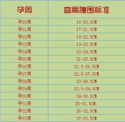 胎儿腹围多少是合适,胎儿腹围是什么意思31.9,股骨长6.9是男孩还是女孩  第3张