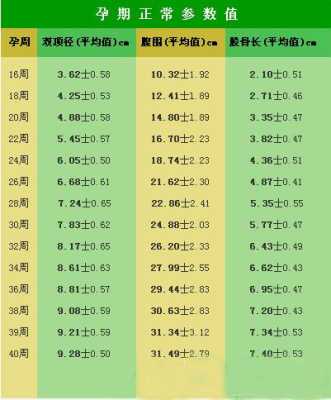 怎么算胎儿多少斤(彩超怎么算胎儿多少斤) 第3张 怎么算胎儿多少斤(彩超怎么算胎儿多少斤) 第3张