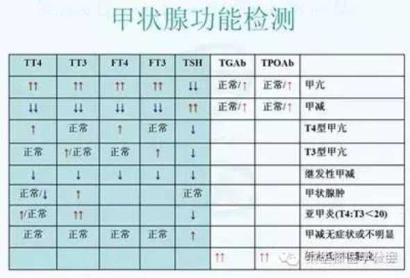 孕期需要检查几次甲功(孕期需要检查几次甲功) 第2张 孕期需要检查几次甲功(孕期需要检查几次甲功) 第2张