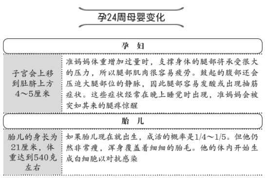胎儿什么时候发育大脑(胎儿什么时候发育大脑智力) 第2张 胎儿什么时候发育大脑(胎儿什么时候发育大脑智力) 第2张