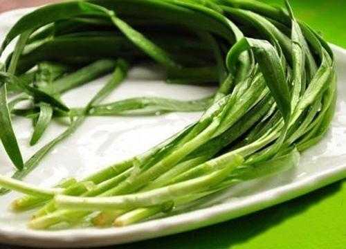 孕期能不能吃韭菜(产妇出了月子可以吃韭菜吗) 第3张 孕期能不能吃韭菜(产妇出了月子可以吃韭菜吗) 第3张