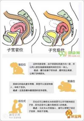 请问怀孕之后子宫会不会增大啊?子宫增大的速度超过胎龄是否不正常啊,易孕期会不会怀孕吃了药  第1张