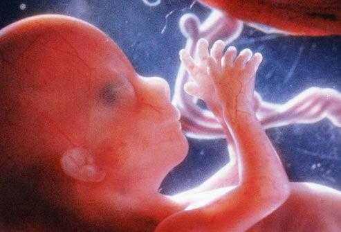 怀孕四个月胎儿有多大（怀孕四个月胎儿有多大图片）  第1张