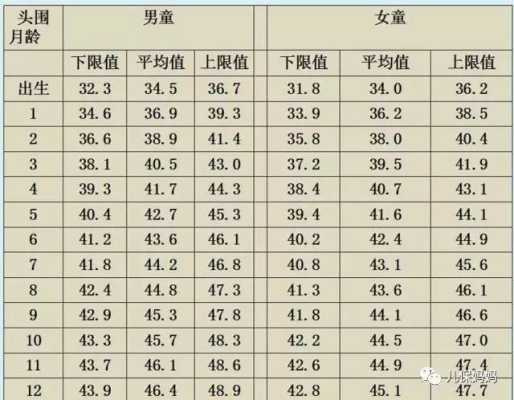 34周胎儿头围标准(140毫米头围有多大) 第3张 34周胎儿头围标准(140毫米头围有多大) 第3张