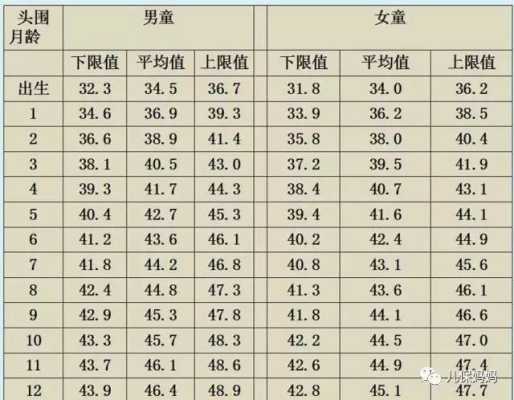 34周胎儿头围标准（140毫米头围有多大）  第3张