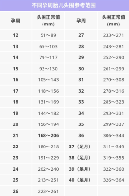 34周胎儿头围标准（140毫米头围有多大）  第2张