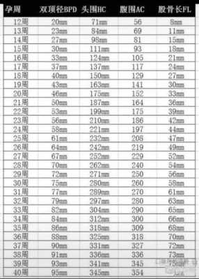 34周胎儿头围标准（140毫米头围有多大）  第1张