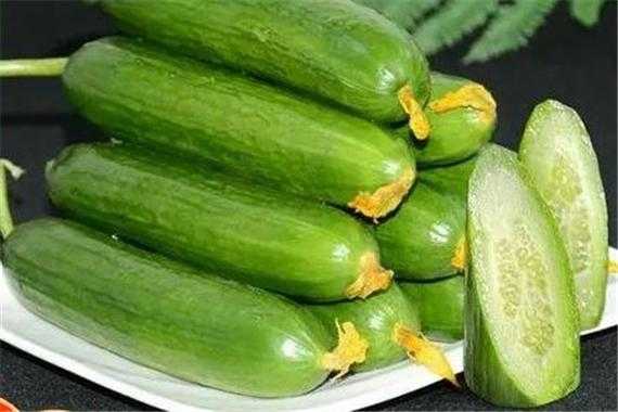 孕妇天天吃黄瓜好吗,对胎儿好吗,备孕期间可以吃黄瓜吗? 第1张 孕妇天天吃黄瓜好吗,对胎儿好吗,备孕期间可以吃黄瓜吗? 第1张