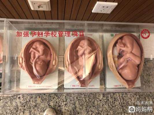 2个月的胎儿有多大(宝宝才2个月多,摸着宝宝的后背发热是什么原因呢?我很担心) 第2张 2个月的胎儿有多大(宝宝才2个月多,摸着宝宝的后背发热是什么原因呢?我很担心) 第2张