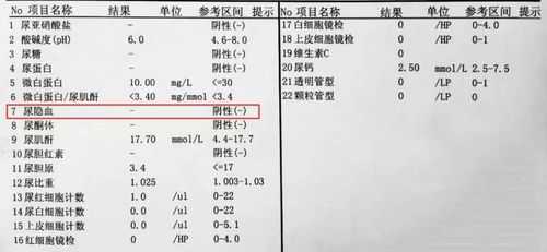 孕期尿隐血是怎么回事(孕妇尿常规白细胞+3影响胎儿吗) 第2张 孕期尿隐血是怎么回事(孕妇尿常规白细胞+3影响胎儿吗) 第2张